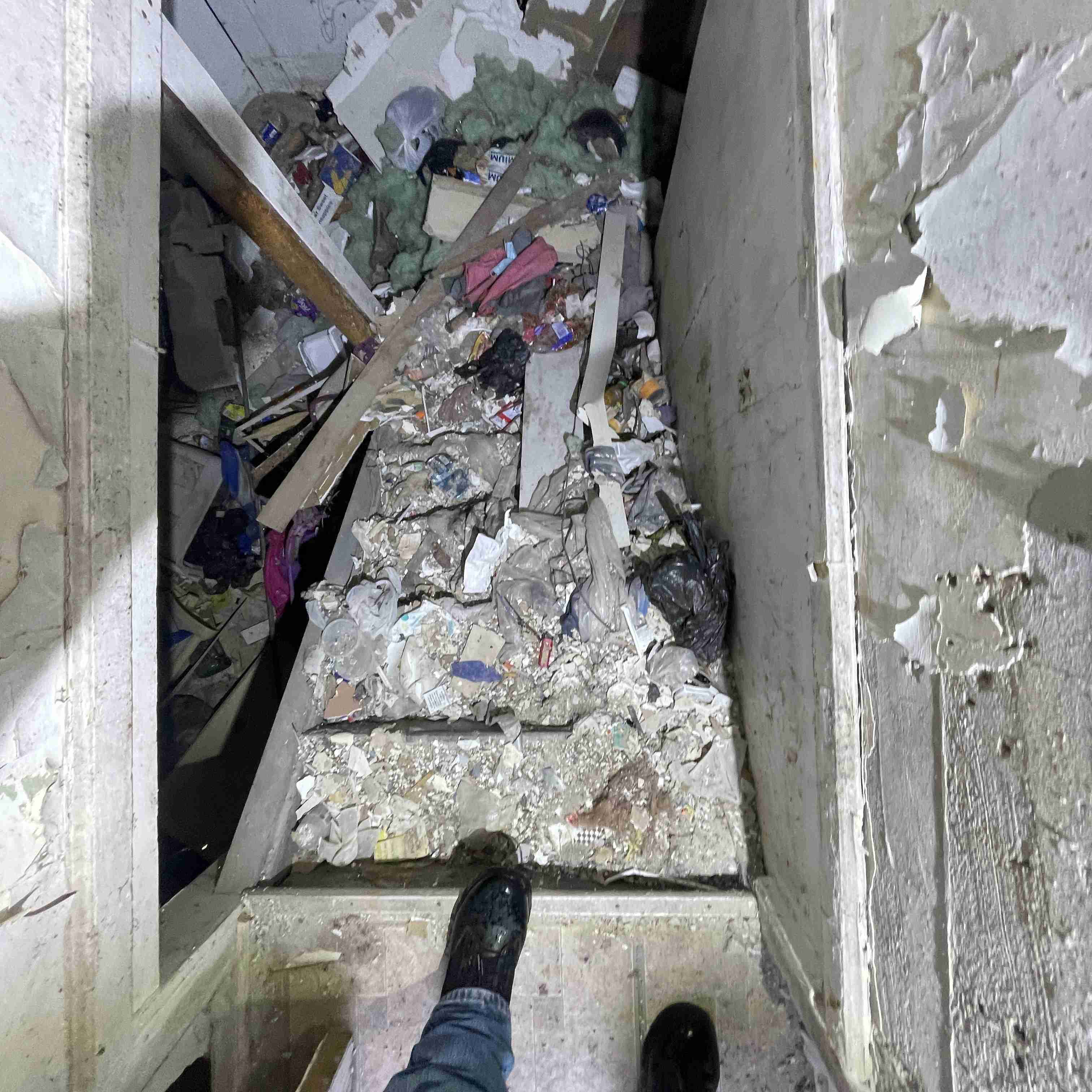 20017 Schoenherr (76).jpg